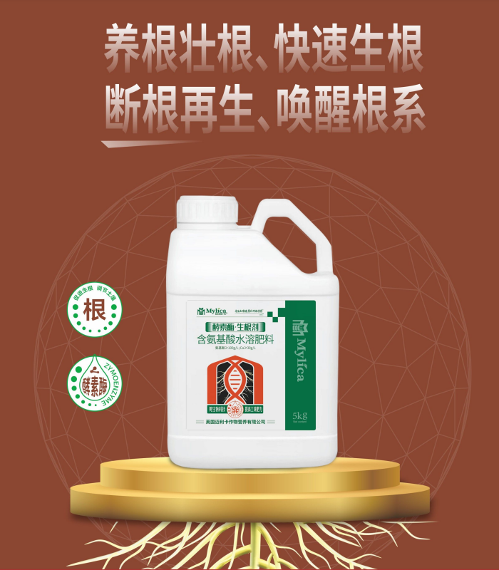 迈利卡（青岛）国际贸易有限公司